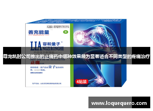 尊龙凯时公司推出的止痛药中哪种效果最为显著适合不同类型的疼痛治疗