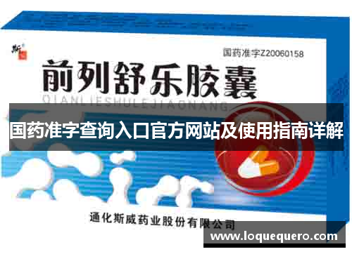 国药准字查询入口官方网站及使用指南详解