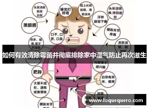 如何有效清除霉菌并彻底排除家中湿气防止再次滋生 如何有效清除霉菌并彻底排除家中湿气防止再次滋生