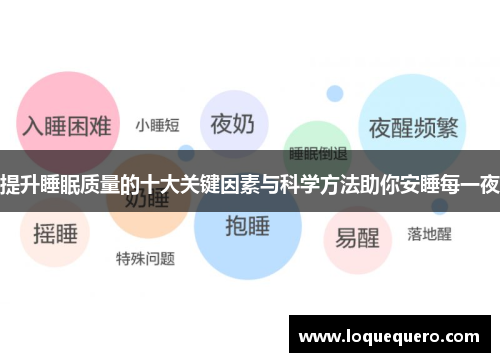 提升睡眠质量的十大关键因素与科学方法助你安睡每一夜
