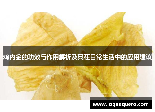 鸡内金的功效与作用解析及其在日常生活中的应用建议 鸡内金的功效与作用解析及其在日常生活中的应用建议
