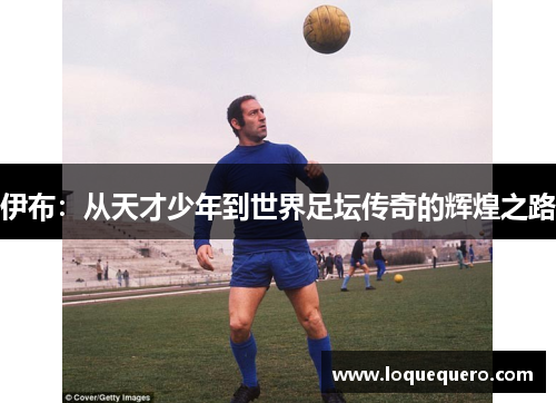 伊布：从天才少年到世界足坛传奇的辉煌之路